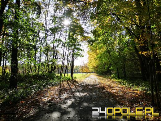 Piękną mamy jesień...tej jesieni!