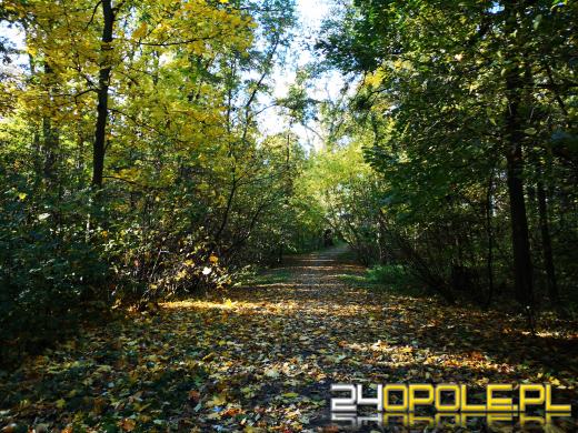 Piękną mamy jesień...tej jesieni!