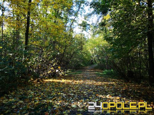 Piękną mamy jesień...tej jesieni!