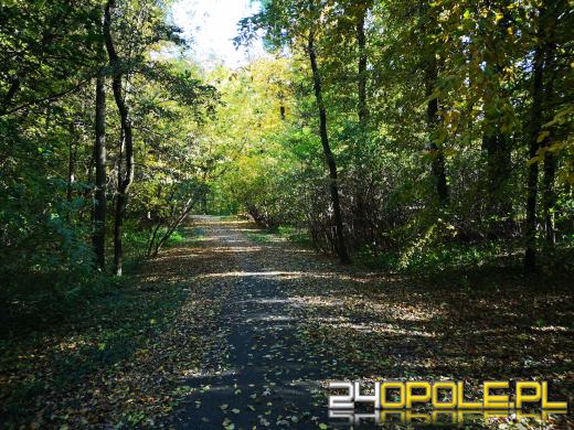 Piękną mamy jesień...tej jesieni!