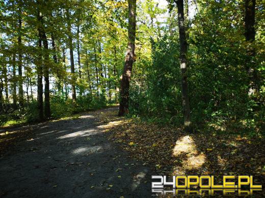 Piękną mamy jesień...tej jesieni!