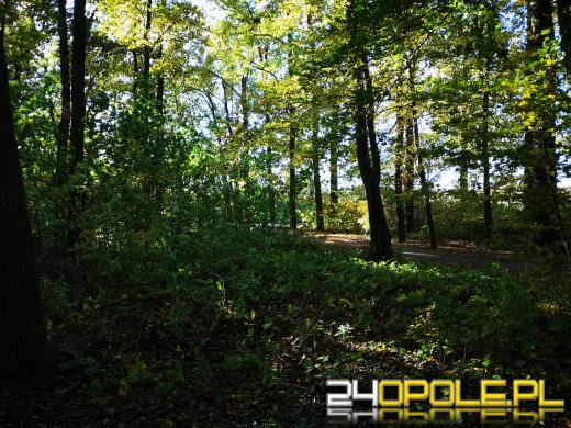 Piękną mamy jesień...tej jesieni!