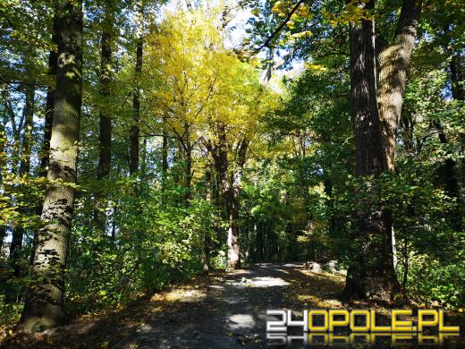 Piękną mamy jesień...tej jesieni!