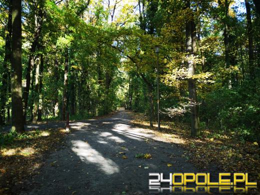 Piękną mamy jesień...tej jesieni!