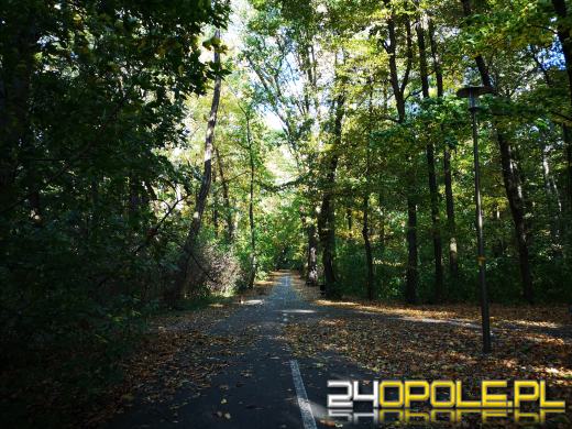 Piękną mamy jesień...tej jesieni!