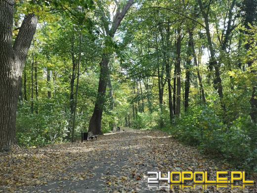 Piękną mamy jesień...tej jesieni!