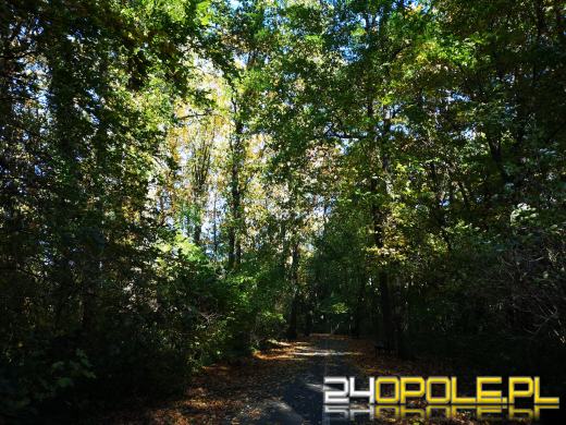 Piękną mamy jesień...tej jesieni!