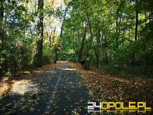 Piękną mamy jesień...tej jesieni!