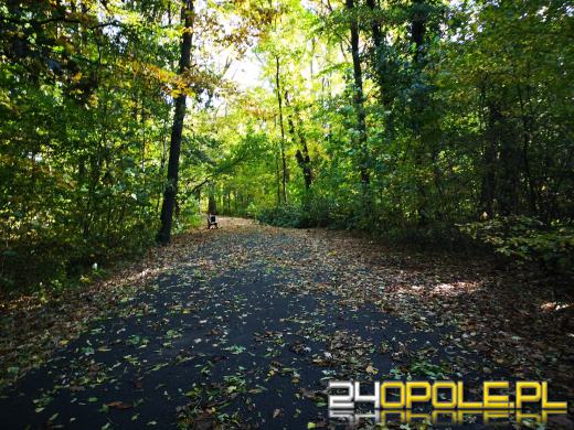 Piękną mamy jesień...tej jesieni!