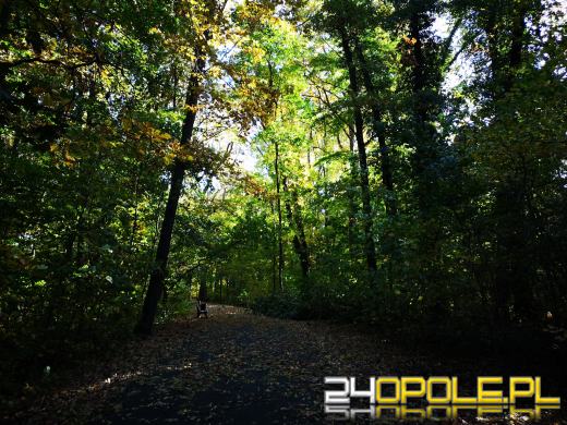 Piękną mamy jesień...tej jesieni!