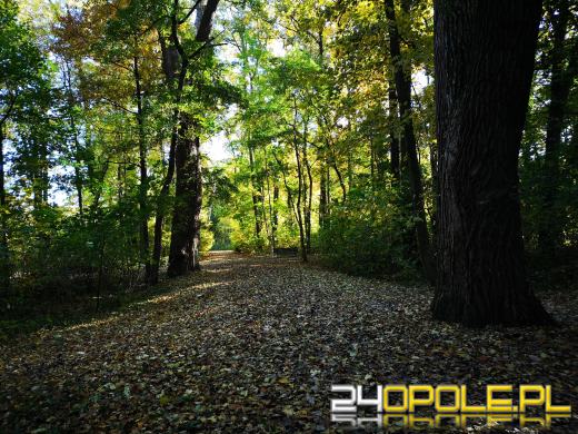 Piękną mamy jesień...tej jesieni!