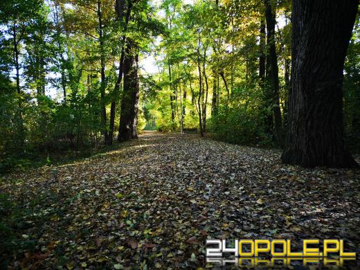 Piękną mamy jesień...tej jesieni!