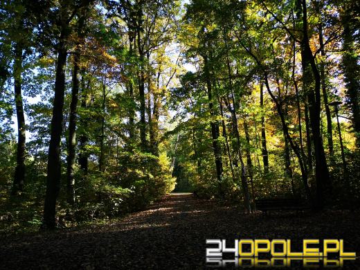 Piękną mamy jesień...tej jesieni!