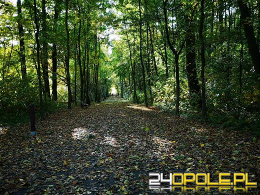 Piękną mamy jesień...tej jesieni!