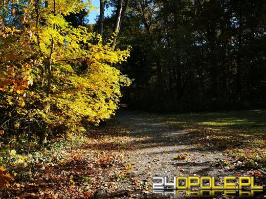 Piękną mamy jesień...tej jesieni!