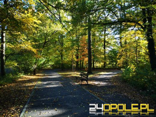 Piękną mamy jesień...tej jesieni!