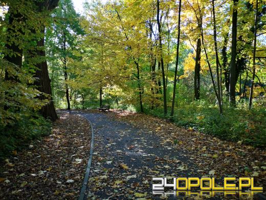 Piękną mamy jesień...tej jesieni!