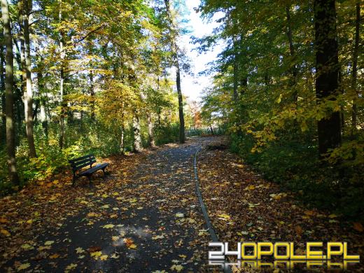 Piękną mamy jesień...tej jesieni!