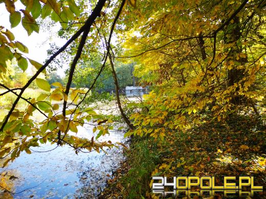 Piękną mamy jesień...tej jesieni!