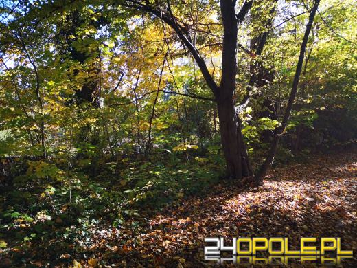 Piękną mamy jesień...tej jesieni!