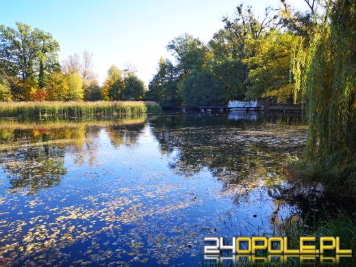 Piękną mamy jesień...tej jesieni!