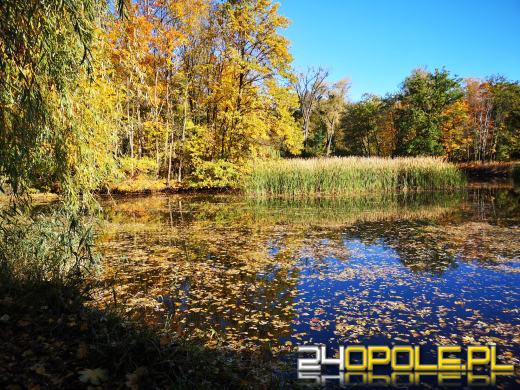 Piękną mamy jesień...tej jesieni!