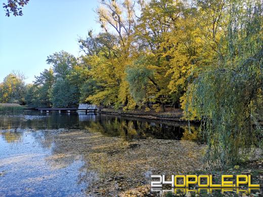 Piękną mamy jesień...tej jesieni!