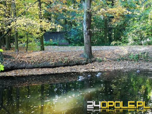 Piękną mamy jesień...tej jesieni!