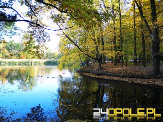 Piękną mamy jesień...tej jesieni!