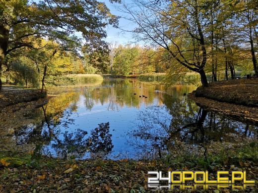 Piękną mamy jesień...tej jesieni!