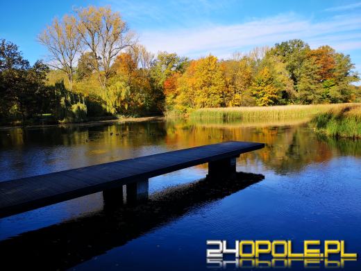 Piękną mamy jesień...tej jesieni!