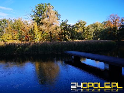 Piękną mamy jesień...tej jesieni!