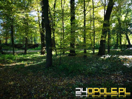 Piękną mamy jesień...tej jesieni!