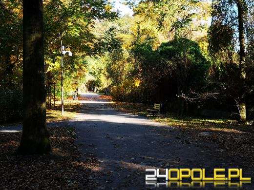 Piękną mamy jesień...tej jesieni!