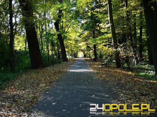 Piękną mamy jesień...tej jesieni!