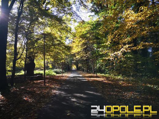 Piękną mamy jesień...tej jesieni!