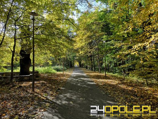 Piękną mamy jesień...tej jesieni!