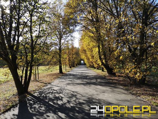 Piękną mamy jesień...tej jesieni!