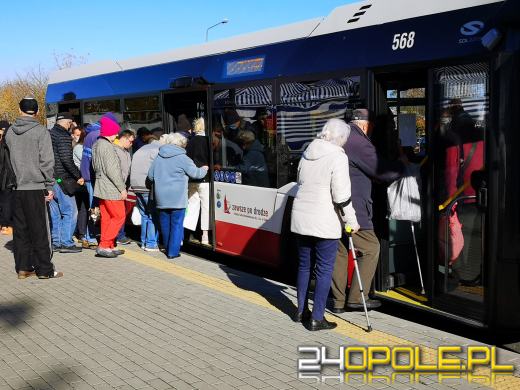 MZK zachęca do skorzystania z autobusu we Wszystkich Świętych