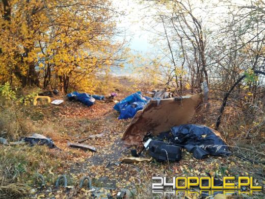 Teren wokół Silesii zamienia się w wysypisko!