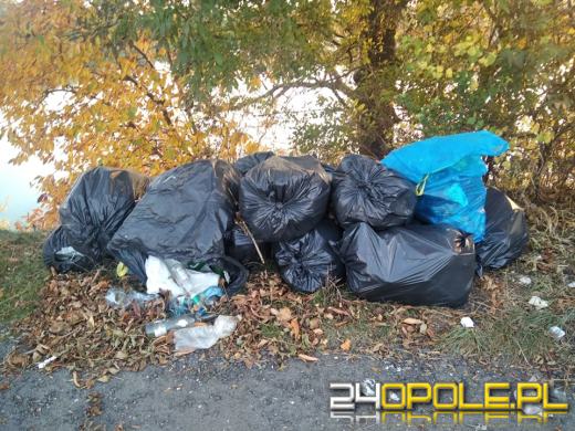 Teren wokół Silesii zamienia się w wysypisko!