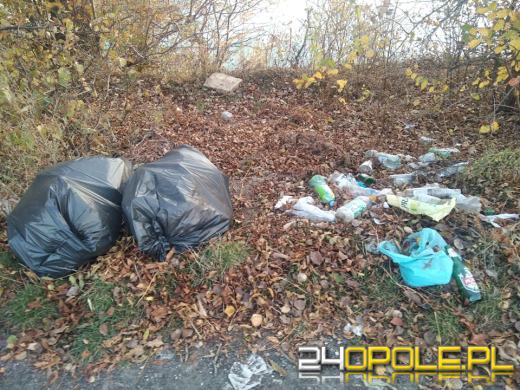 Teren wokół Silesii zamienia się w wysypisko!