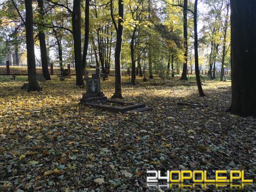 Nie zapominają o zapomnianych. Wspólne sprzątanie cmentarza to już tradycja