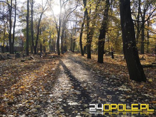 Nie zapominają o zapomnianych. Wspólne sprzątanie cmentarza to już tradycja