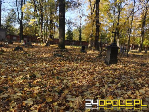 Nie zapominają o zapomnianych. Wspólne sprzątanie cmentarza to już tradycja