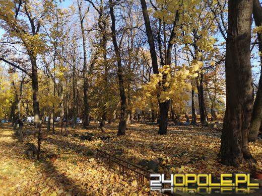 Nie zapominają o zapomnianych. Wspólne sprzątanie cmentarza to już tradycja