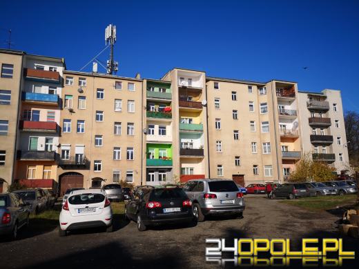 Podwórko przy Sądowej w Opolu "zawalone" autami i śmieciami