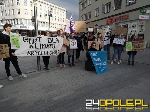 Ulicami miasta przeszedł marsz w obronie klimatu
