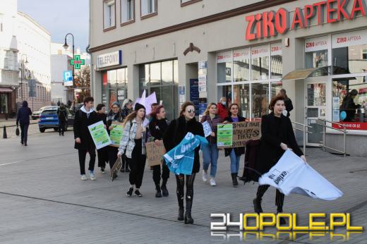 Ulicami miasta przeszedł marsz w obronie klimatu