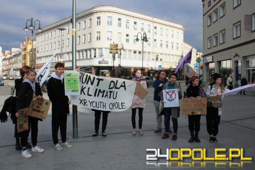 Ulicami miasta przeszedł marsz w obronie klimatu